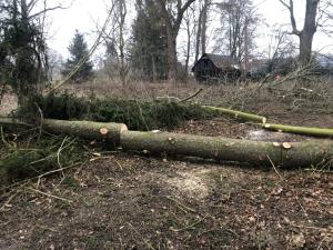 Revitalizace Štěpánkova rybníka